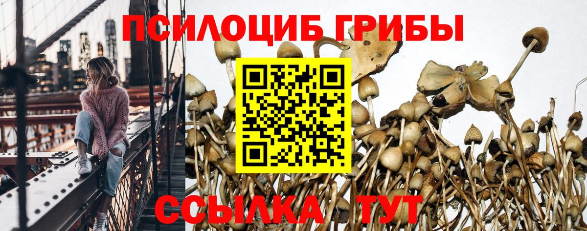 Псилоцибиновые грибы мухоморы  Вход с VPN  Александров 